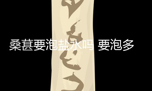 桑葚要泡鹽水嗎 要泡多長時間