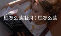 桓怎么讀組詞（桓怎么讀）