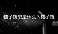 桔子錢袋是什么？桔子錢袋靠譜嗎？桔子錢袋審核多久？