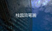 桂圓簡筆畫