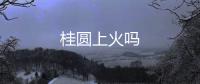 桂圓上火嗎