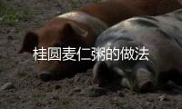 桂圓麥仁粥的做法