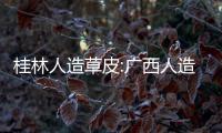 桂林人造草皮:廣西人造草皮