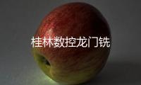 桂林數控龍門銑