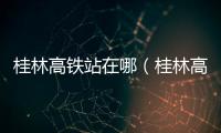 桂林高鐵站在哪（桂林高鐵站是哪個站）