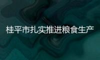 桂平市扎實(shí)推進(jìn)糧食生產(chǎn)