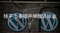 桂平市多措并舉推進(jìn)林業(yè)產(chǎn)業(yè)發(fā)展