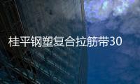 桂平鋼塑復合拉筋帶30020C說明