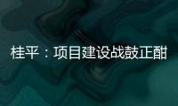 桂平：項目建設戰鼓正酣