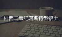 桂西二疊紀喀斯特型鋁土礦地質成礦過程（三）