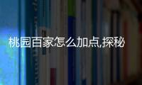 桃園百家怎么加點,探秘桃園百家：加點新玩法，讓你流連忘返！