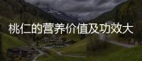 桃仁的營養價值及功效大揭秘