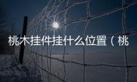 桃木掛件掛什么位置（桃木掛件）