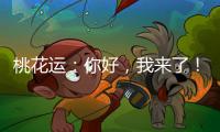 桃花運：你好，我來了！（十一月份篇）