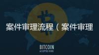 案件審理流程（案件審理）
