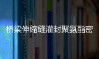 橋梁伸縮縫灌封聚氨酯密封膠AB雙組份說明書