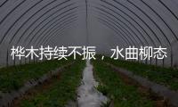 樺木持續(xù)不振，水曲柳態(tài)勢低迷