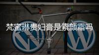梵蜜琳貴婦膏是素顏霜嗎 梵蜜琳貴婦膏的質地怎么樣
