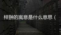 梓翀的寓意是什么意思（梓的寓意是什么意思）