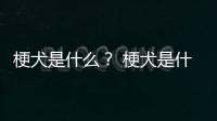 梗犬是什么？ 梗犬是什么狗