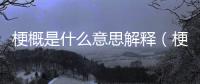 梗概是什么意思解釋（梗概是什么意思）