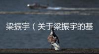 梁振宇（關于梁振宇的基本情況說明介紹）