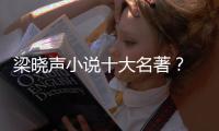 梁曉聲小說十大名著？ 雪城小說