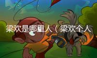 梁歡是哪里人（梁歡個人資料簡介）
