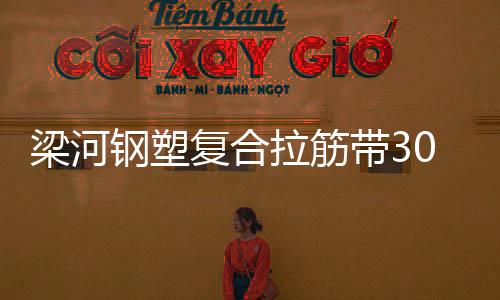 梁河鋼塑復(fù)合拉筋帶30020C價格