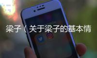 梁子（關于梁子的基本情況說明介紹）