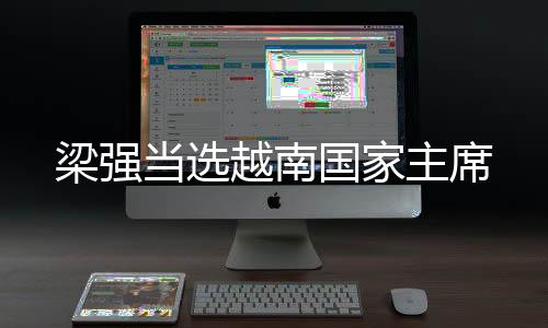 梁強當選越南國家主席