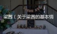 梁茜（關于梁茜的基本情況說明介紹）