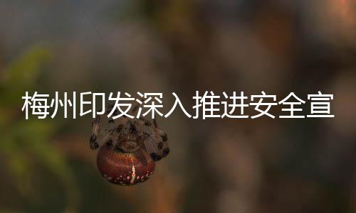 梅州印發深入推進安全宣傳 “五進”工作實施方案