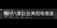 梅州六家企業亮相粵港澳大灣區“菜籃子”暨廣州現代農業嘉年華活動