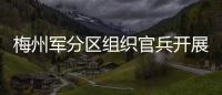 梅州軍分區組織官兵開展義務植樹活動