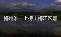 梅州唯一上榜！梅江區嘉禧社會工作服務中心入選這個省級名單