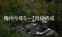 梅州今年1—7月經濟成績單出爐！趁熱趕緊來看看