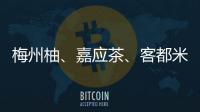 梅州柚、嘉應茶、客都米…明天與您相約重慶！