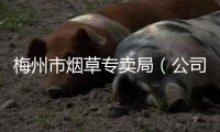 梅州市煙草專賣局（公司）到東莞、惠州市局（公司）交流學習