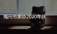 梅州市美協2020年獲獎作品選登，一起看個夠！
