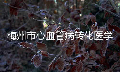梅州市心血管病轉化醫學重點實驗室在梅州市人民醫院揭牌