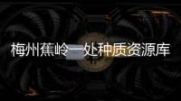 梅州蕉嶺一處種質資源庫入選！第三批省級林木種苗基地名單公布  ?