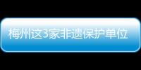 梅州這3家非遺保護單位，獲評省優秀！