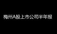梅州A股上市公司半年報全部披露完畢：8家盈利，僅梅雁吉祥虧損