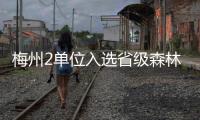 梅州2單位入選省級(jí)森林可持續(xù)經(jīng)營(yíng)試點(diǎn)單位名單！