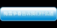 梅雪爭(zhēng)春告訴我們什么道理 雪梅這首詩(shī)告訴我們什么道理