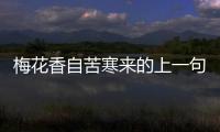 梅花香自苦寒來的上一句 梅花香自苦寒來的上一句詩句是什么