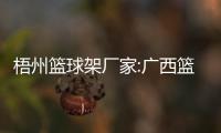 梧州籃球架廠家:廣西籃球架廠家