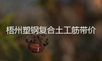 梧州塑鋼復(fù)合土工筋帶價格