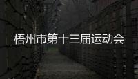 梧州市第十三屆運動會